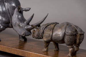 Final Rhinos